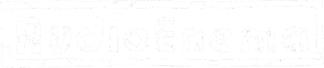 Audioenema
